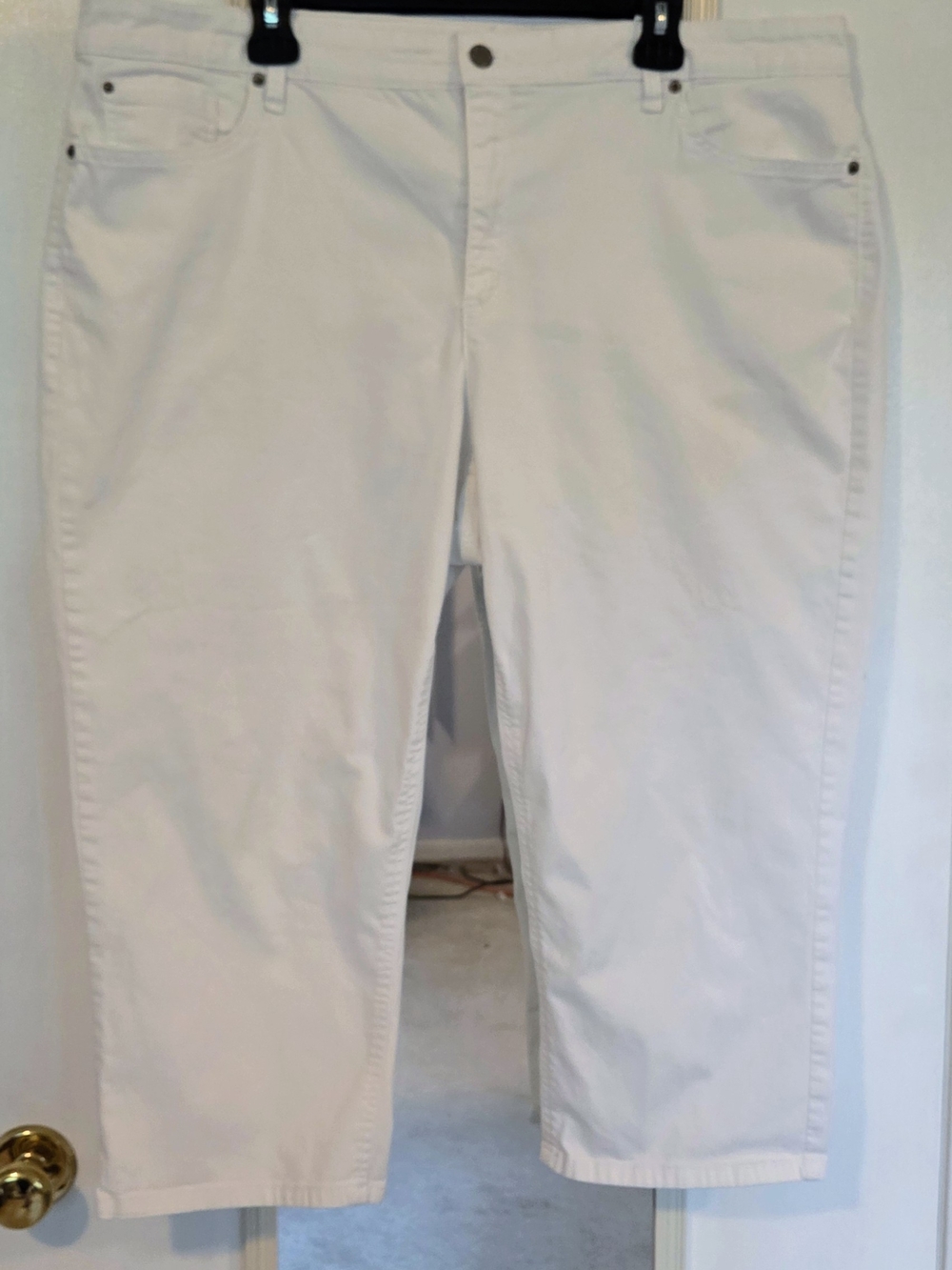 Jones New York White Signature Lexington Capri Women's Plus Size 20W